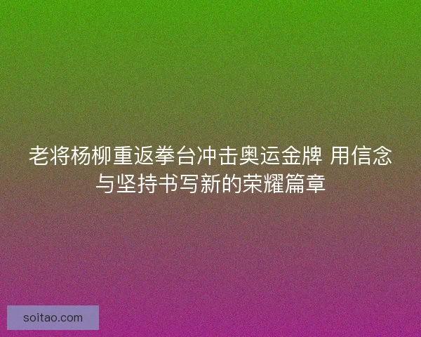老将杨柳重返拳台冲击奥运金牌 用信念与坚持书写新的荣耀篇章