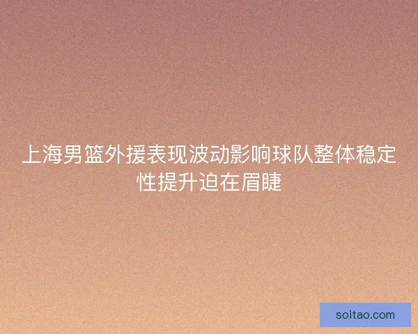 上海男篮外援表现波动影响球队整体稳定性提升迫在眉睫